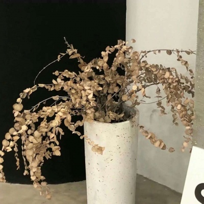 Furry绘画避坑指南兽圈社群